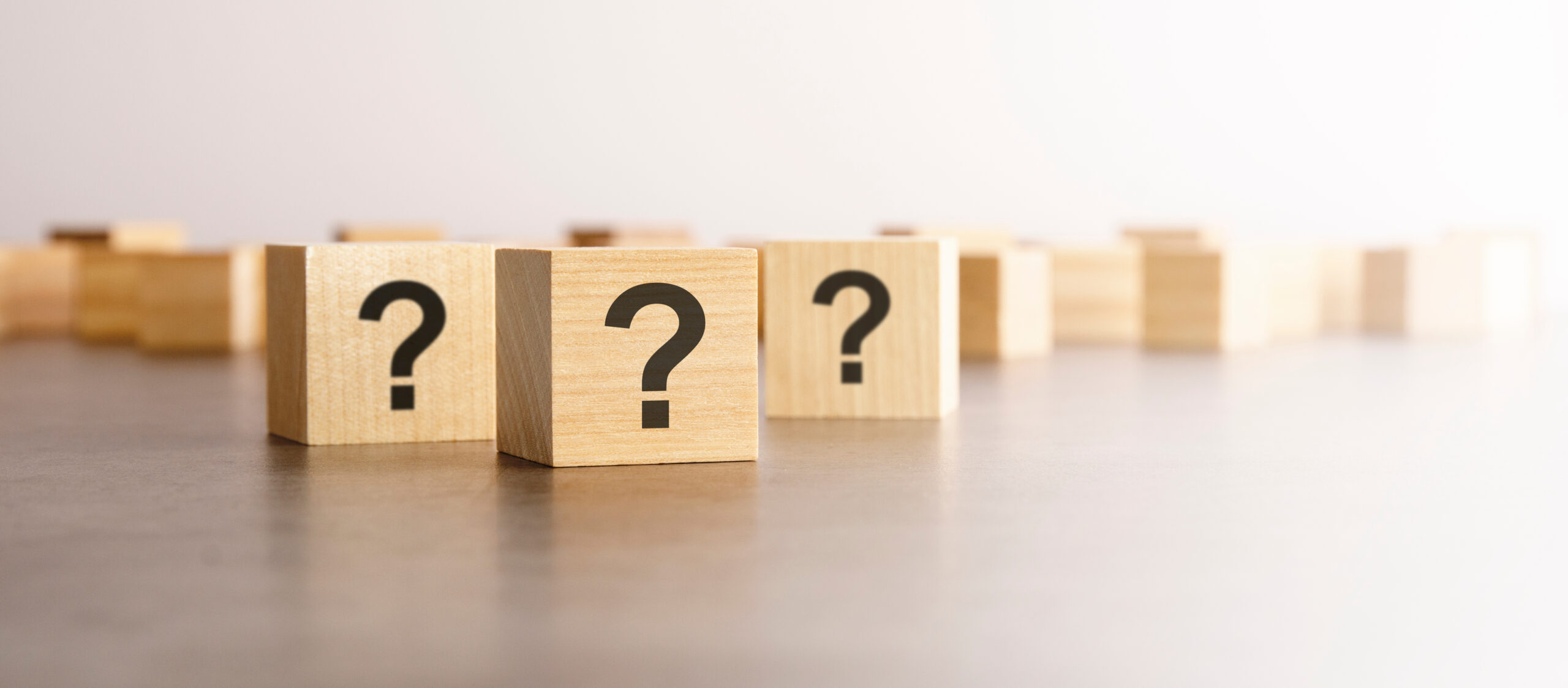 そもそも日本政策金融公庫とは